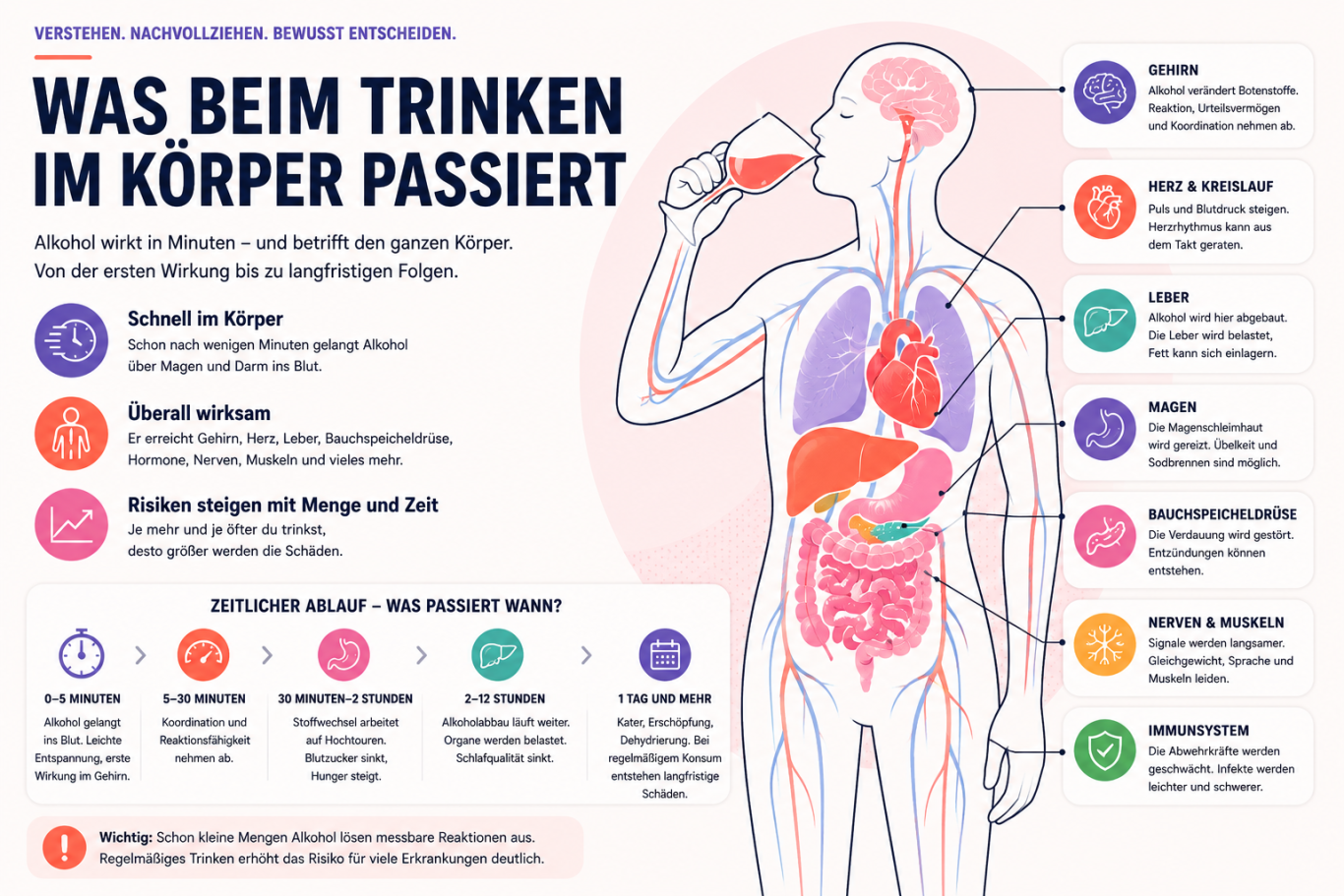 alkohol-auswirkungen-koerper-organe.png Auswirkungen von Alkohol auf Gehirn, Herz, Leber, Magen, Bauchspeicheldrüse, Nerven und Immunsystem.